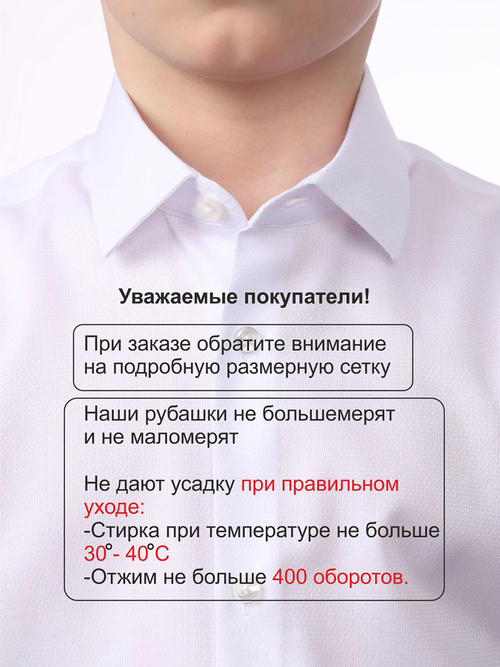 Сорочка подростковая ELITA длинный рукав, цвет молочный, хлопок/пэ 78012 76