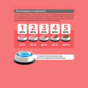 Уценка! Повр.упак. / Сухой корм ProBalance Adult Active для взрослых собак с высокой активностью