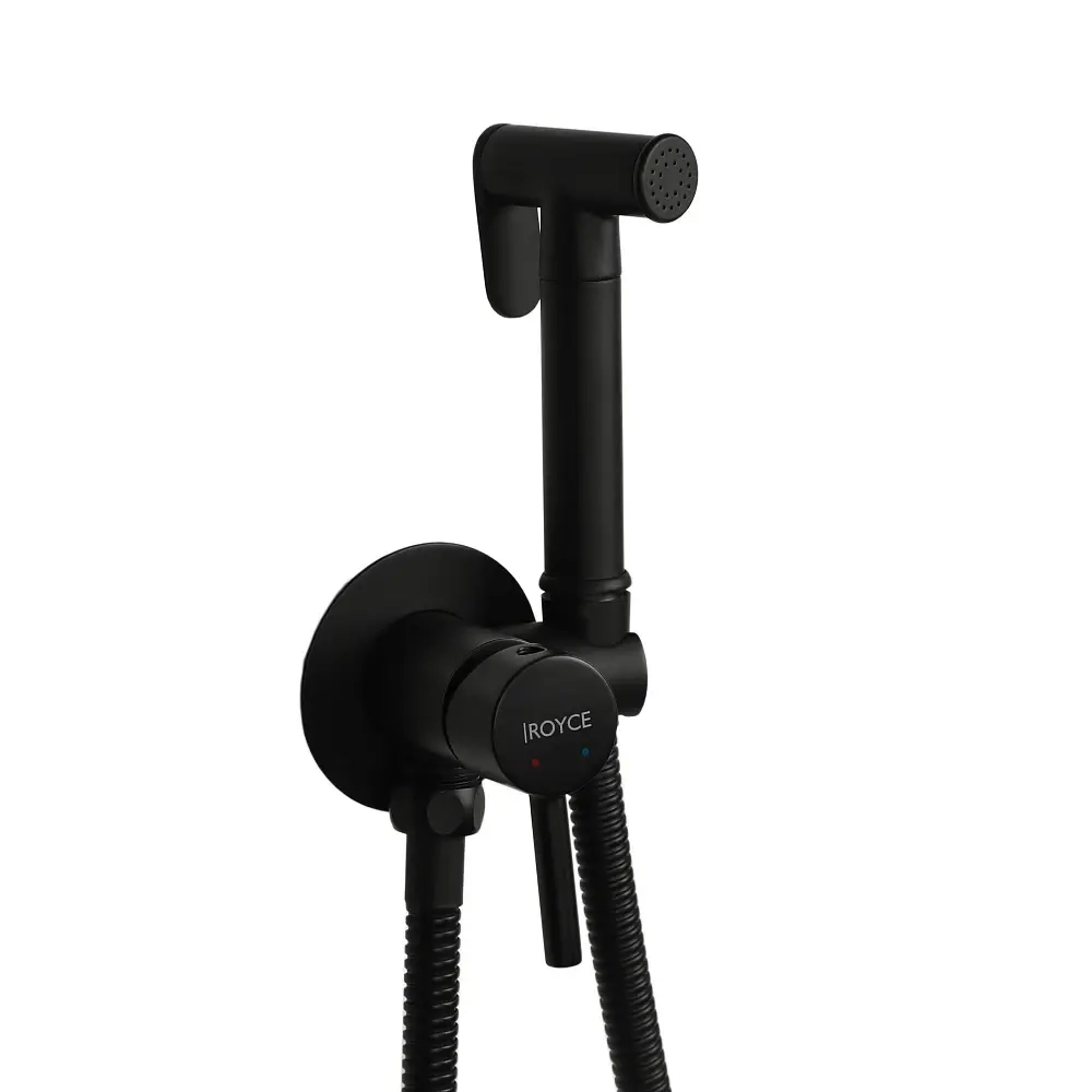Гигиенический душ Royce Smart встраиваемый (RCS-113001BL)