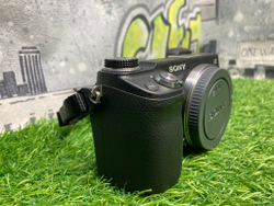 Sony NEX-6 (1.350 кадров)