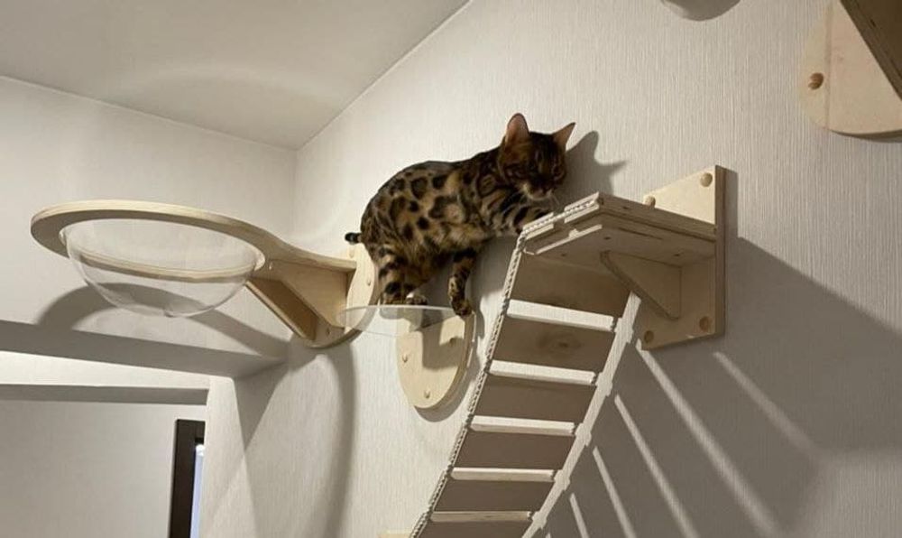 Мини-лестница для кошек