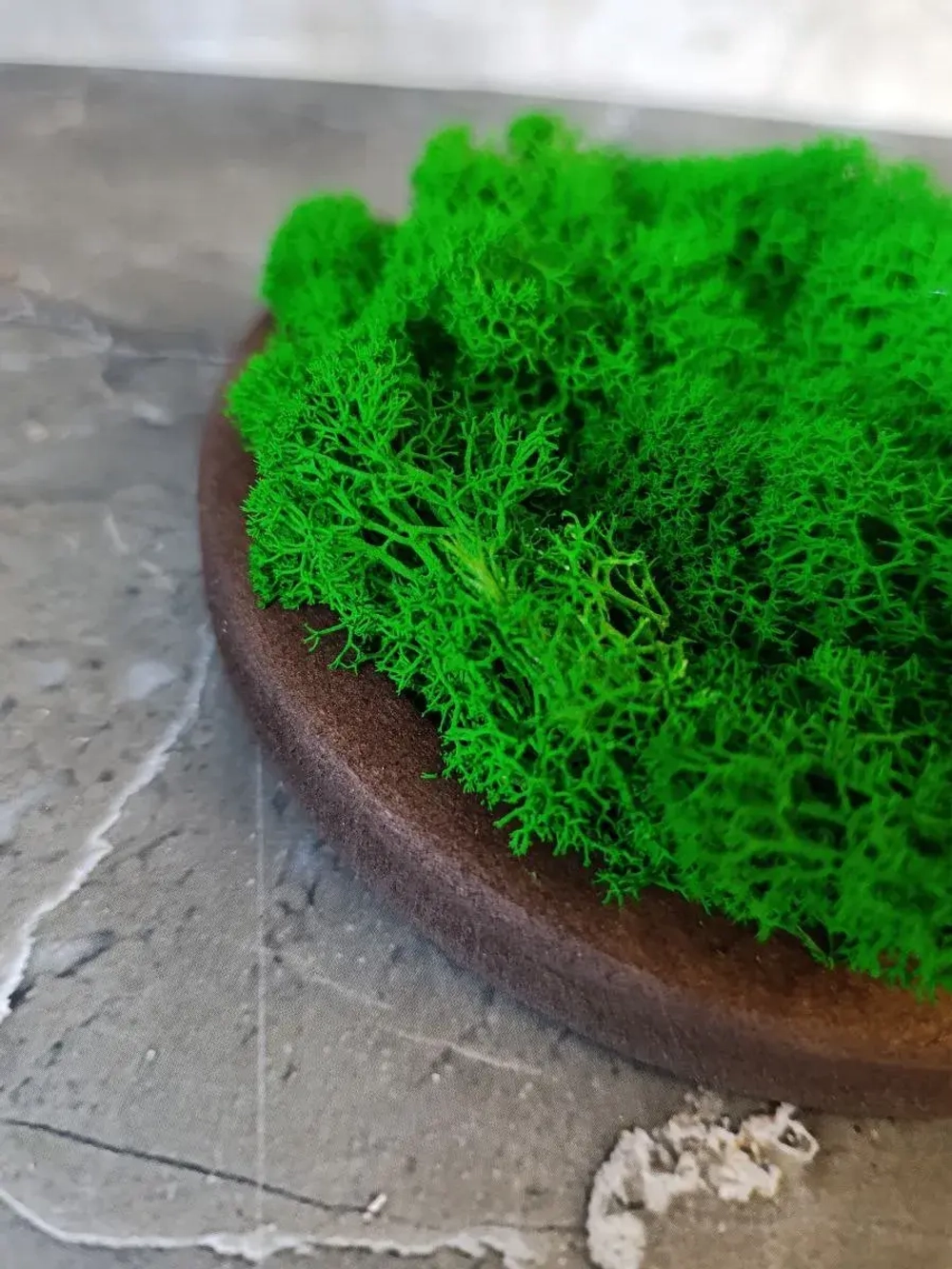 Панно из мха набор 3 шт.