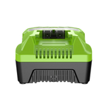 Быстрое зарядное устройство Greenworks G24C4, 24V, 4А