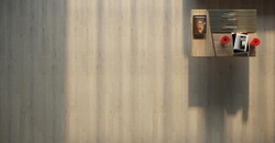 Ламинат Kastamonu Floorpan Orange Дуб Жемчужный FP952