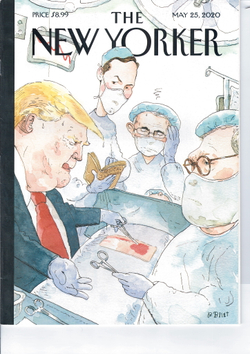 Журнал The New Yorker 25-05-2020