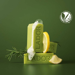 Lador Твёрдый бессиликоновый шампунь с васаби 115 г Wasabi Shampoo Bar