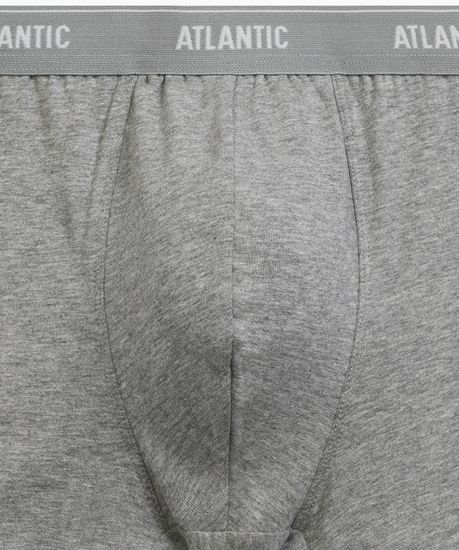 Трусы мужские боксеры (2шт), Atlantic 2RMH-011, хлопок, серый меланж + морской