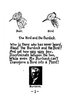 How to Tell the Birds from the Flowers. A Manual of Flornithology for Beginners | Robert Williams Wood