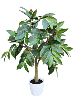 Кофе дерево 75см в кашпо искусственное с плодами