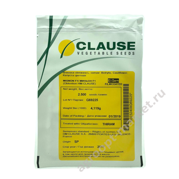 Миньон F1 семена капусты цветной (Clause / Клос) – фото 2