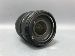 Sony DT 18-250mm 3.5-6.3