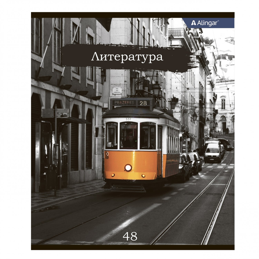 Комплект предметных тетрадей А5 48л.,10 предм., со справочным материалом, скрепка, мелованный картон(стандарт), блок офсет, Alingar "Город контрастов"