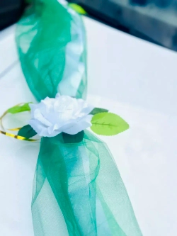 Лента на капот