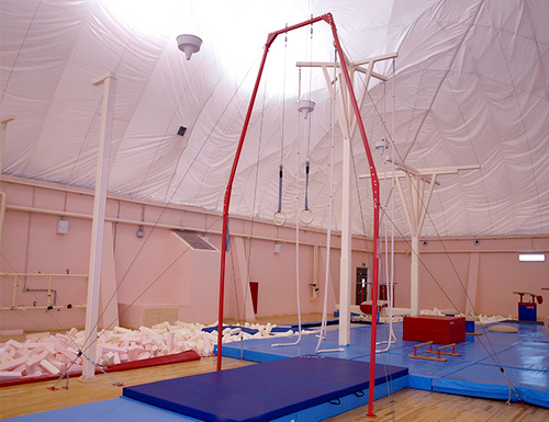 Рама с кольцами гимнастическая