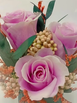 натуральные кустовые розы в стекле, вакуум*