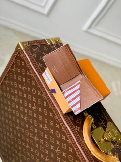 Louis Vuitton Multiple Wallet