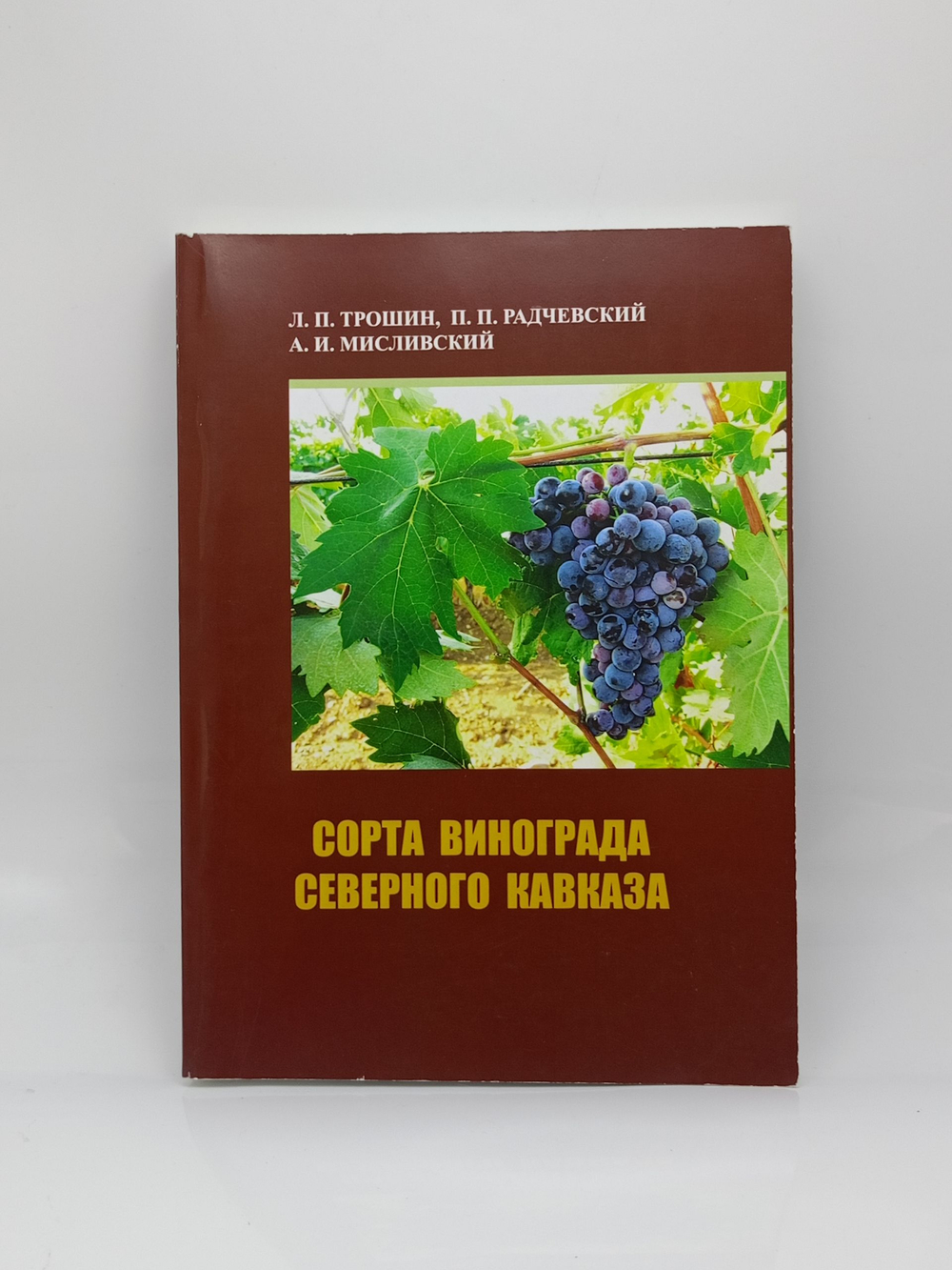 Сорта винограда Северного Кавказа