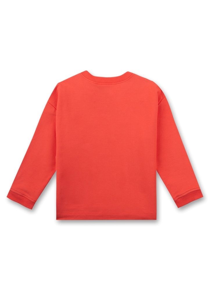 Толстовка Sanetta Kidswear 126392 38202