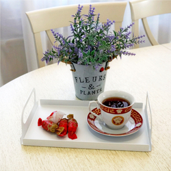 Поднос металлический прямоугольный с ручками, белый, 30х18 см