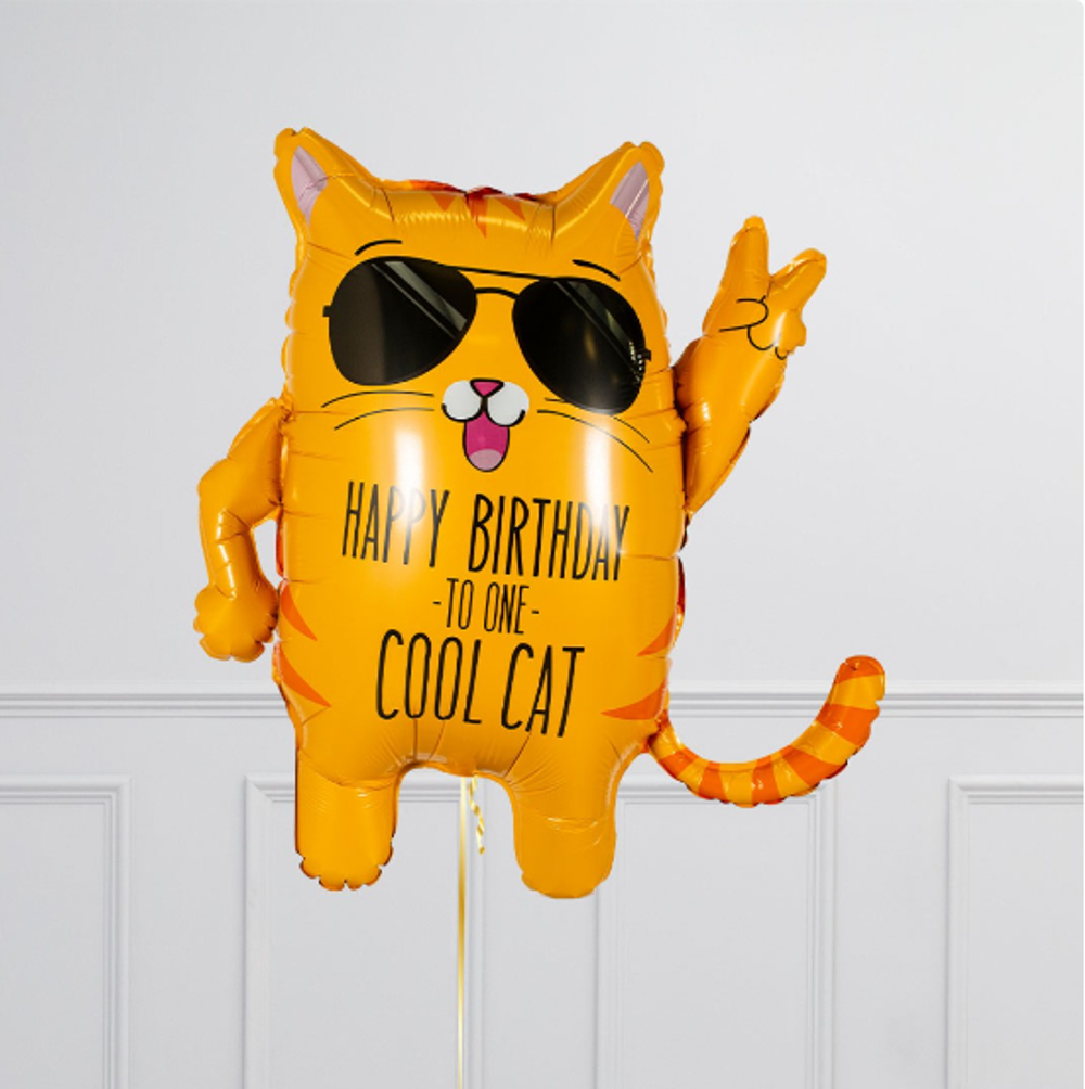 Б Фигура, Классный кот, Happy birthday cool cat, 33"/83,8 см  Изображение3