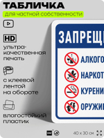 Табличка для частной территории "Запрещено: алкоголь наркотики курение и оружие", для участка, организаций и частных территорий, предупреждающая, 40х30 см, Silver Plane x Айдентика Технолоджи