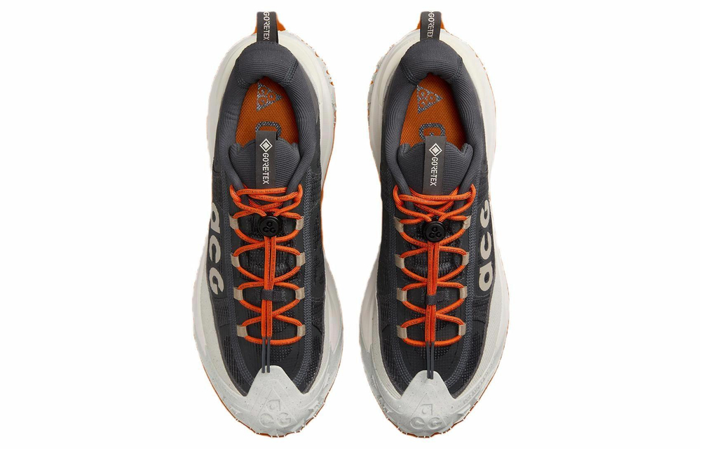Кроссовки Nike Acg Mountain Fly 2 Low Gore-Tex