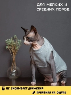 Майка для собак и кошек