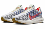 Кроссовки Nike Pegasus Turbo Next Nature