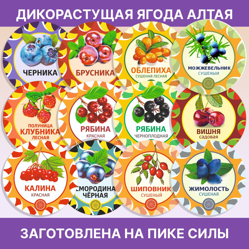 Астрагал перепончатый.