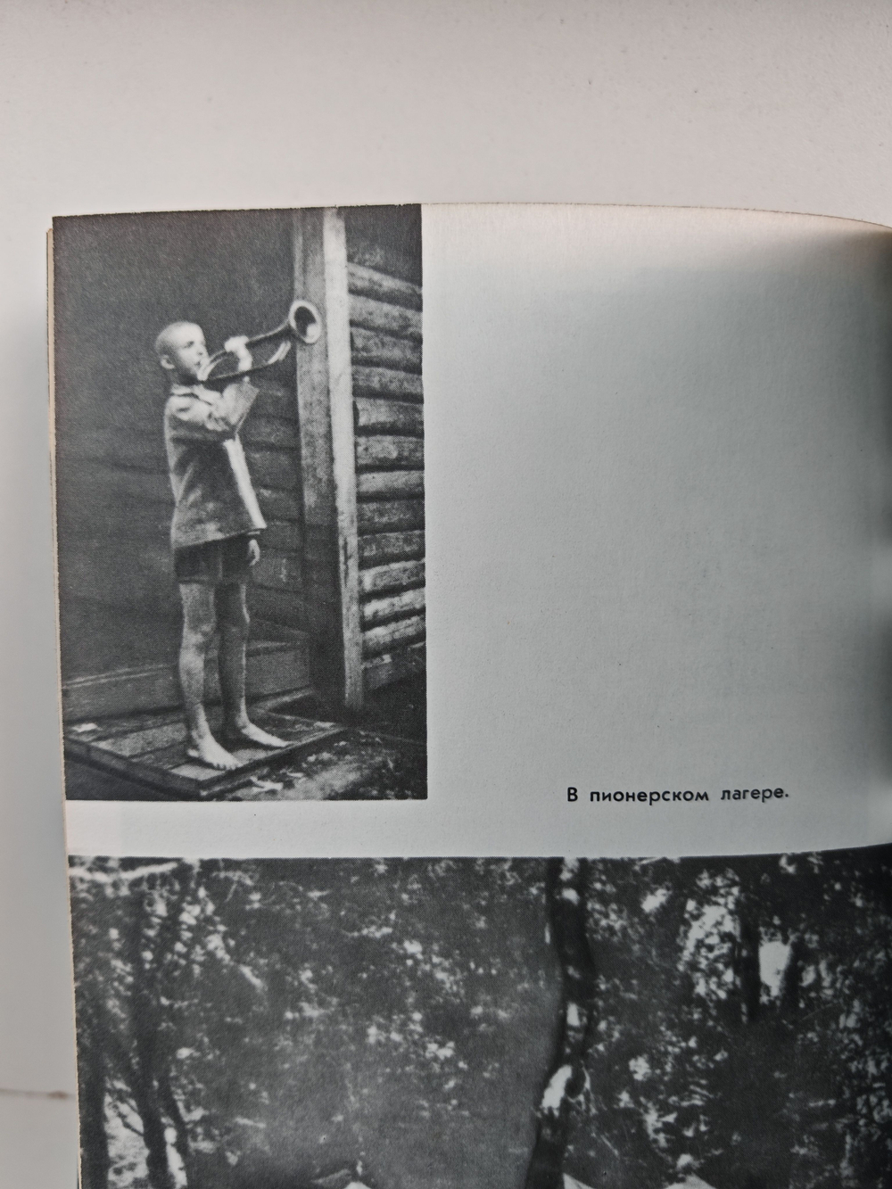 Пламя первых костров