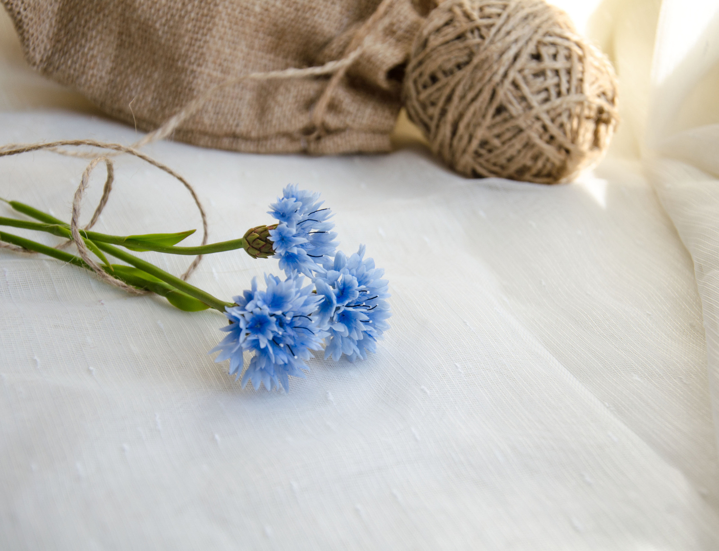 Василек из холодного фарфора. МК Анны Крахиной.