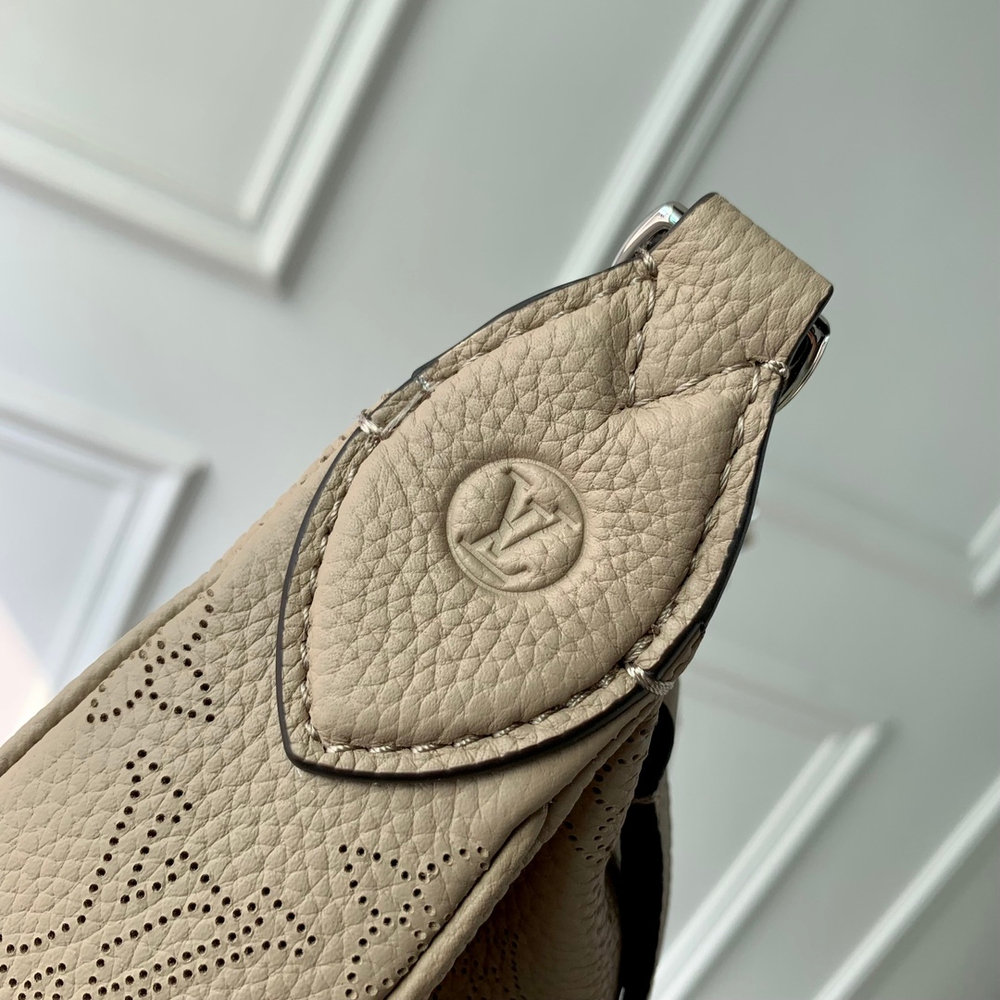 Louis Vuitton Baia MM Bag