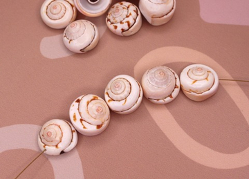 Бусина ракушка круглая 18 мм