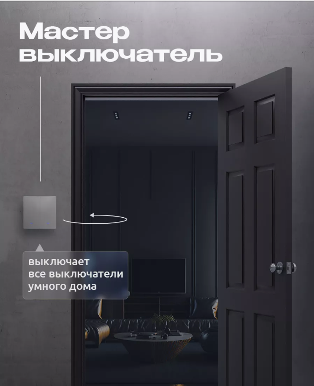 Умный двухклавишный выключатель "Алиса", с Wi-Fi и подсветкой, встраиваемый, серый