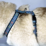 Шлейка прогулочная для собак регулируемая 30 мм Поларис Lapalandia