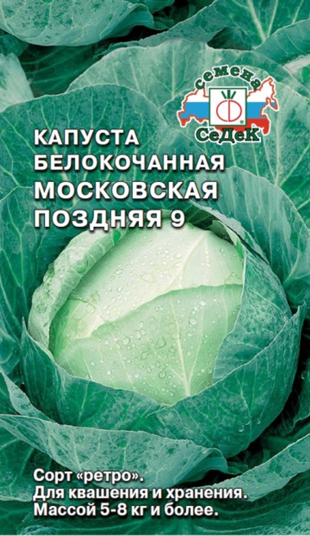капуста Московская поздняя