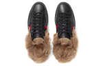 Gucci Ace