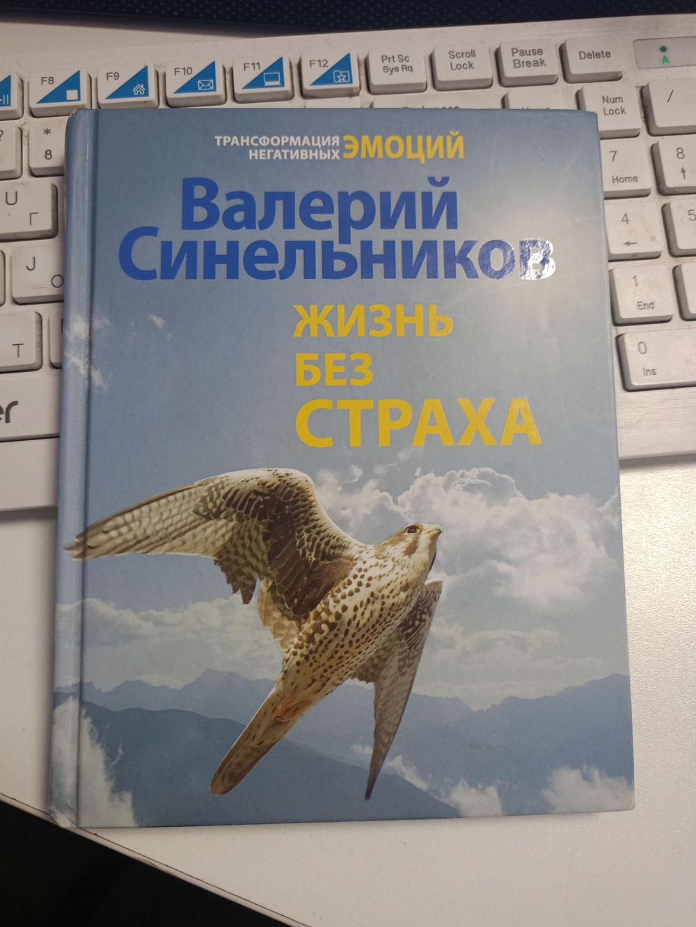 Жизнь без страха