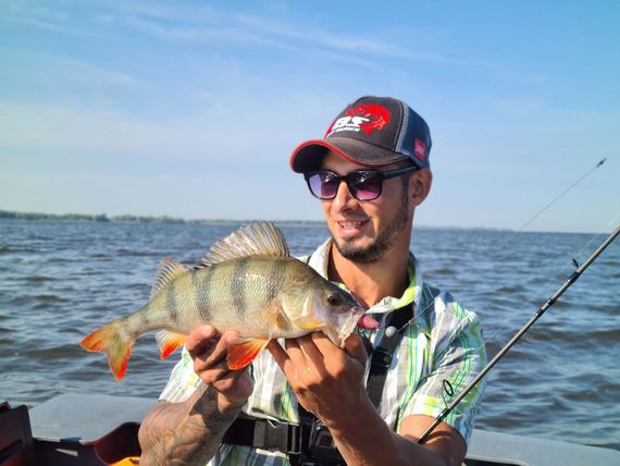 Виброхвосты съедобные LJ Pro Series JOCO SHAKER 4.5in (11,43 см), цв. F13, 3 шт.