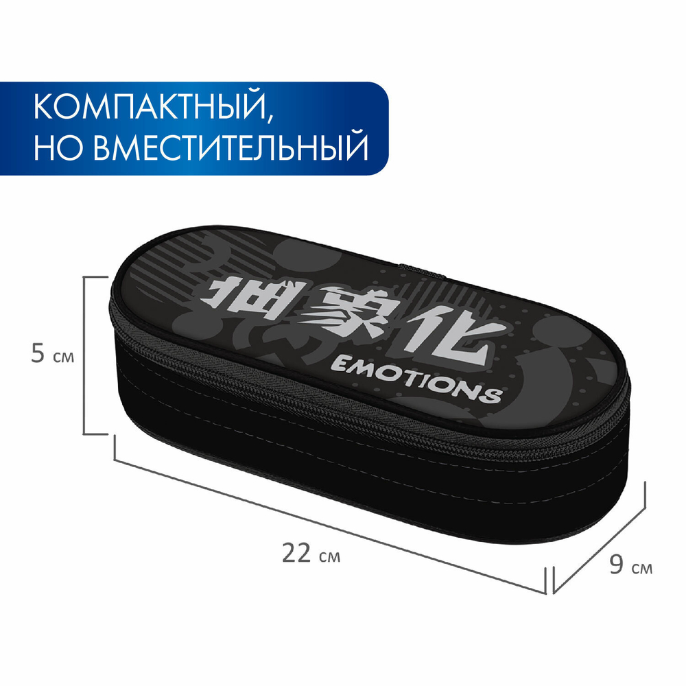 Пенал-футляр BRAUBERG 1 отделение органайзер полиэстер 22x9x5 см "Emotions" (2 штуки в упаковке)