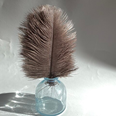 Перо страуса молочный шоколад 15 - 20 см.