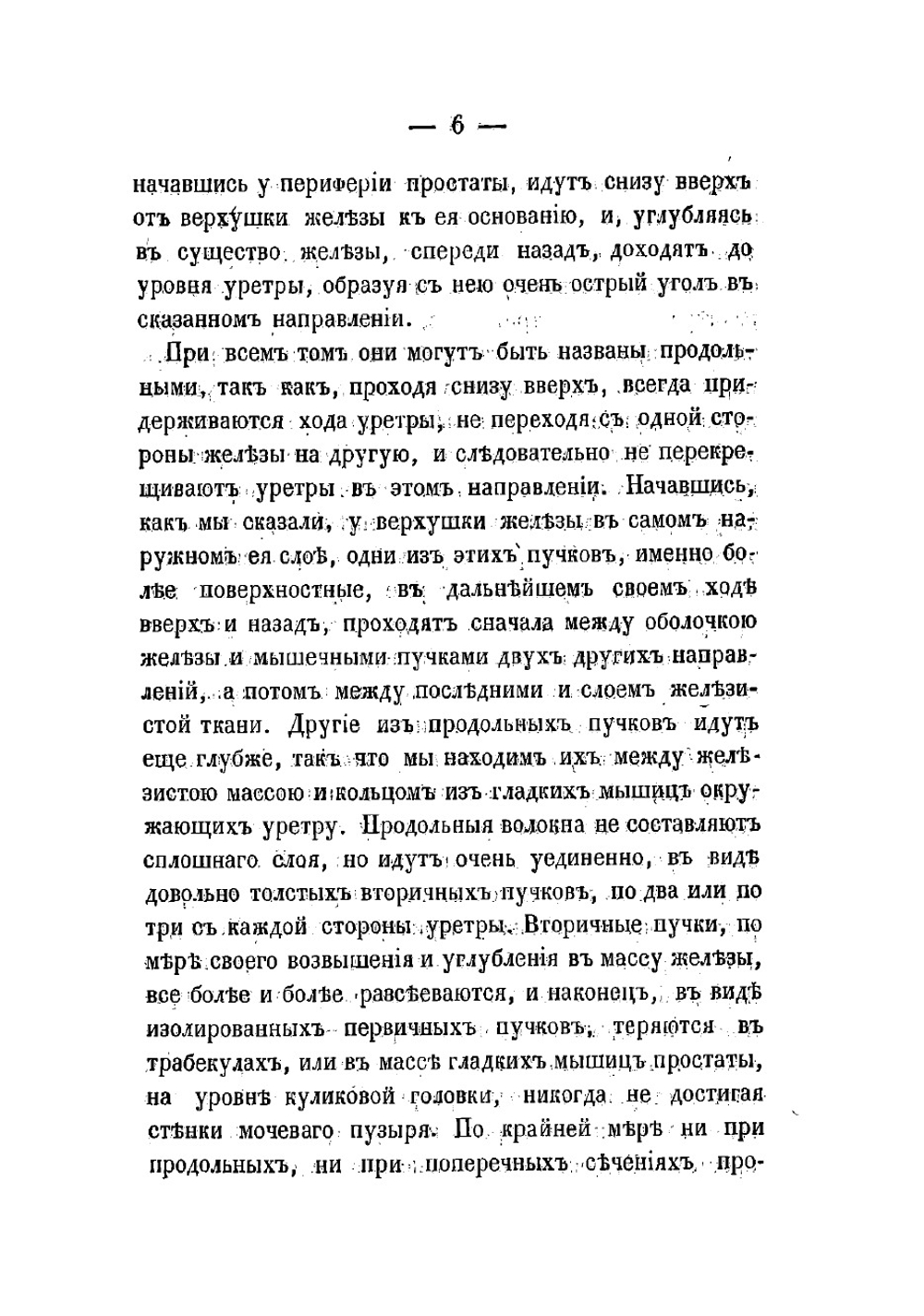 Микроскопическое исследование поперечно-полосатых мышц в предстательной железе человека | Зубовский Никифор Захарович