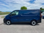 Renault Trafic Furgone Ice