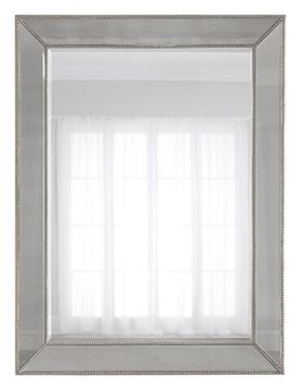 Зеркало в раме "Франческо" Pale Silver/25