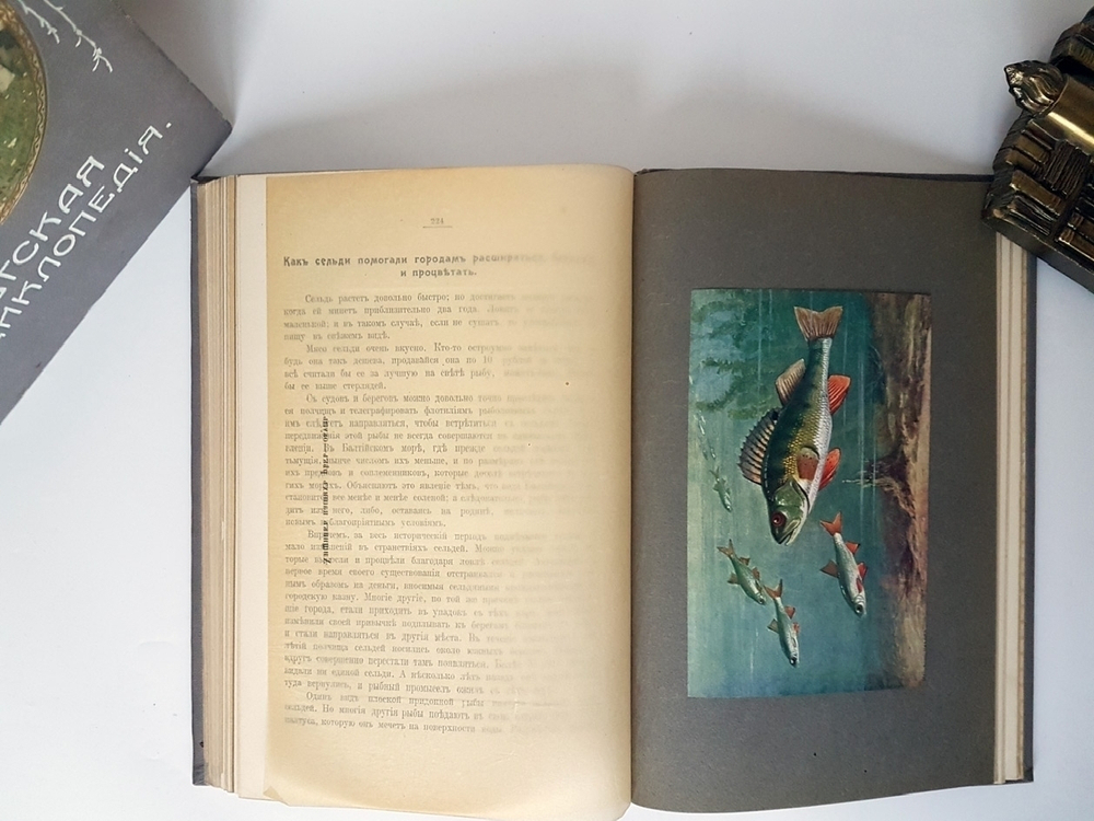 "Детская энциклопедия". 1914г.