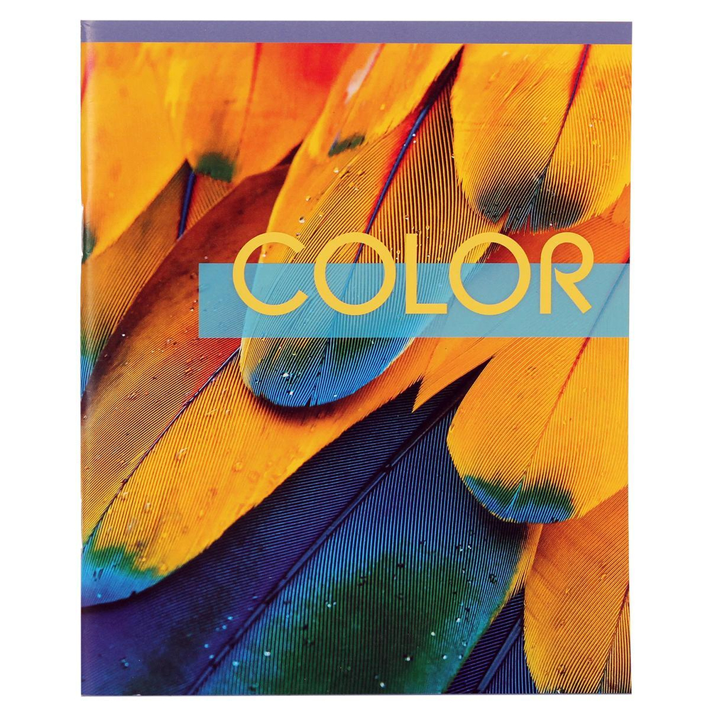 Тетрадь школьная А5 48л. линейка, писчая №2(обл мелов бум) в ассорт. (КПК)