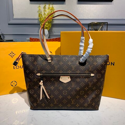 Louis Vuitton Iena MM