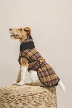 Попона Пони-Шерлокони Hunting Pony