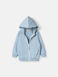 предметное