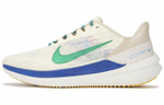 Кроссовки Nike Air Winflo 9 Prm
